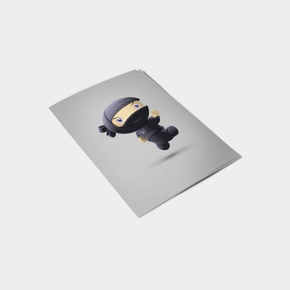 Flying Ninja – Bild 2